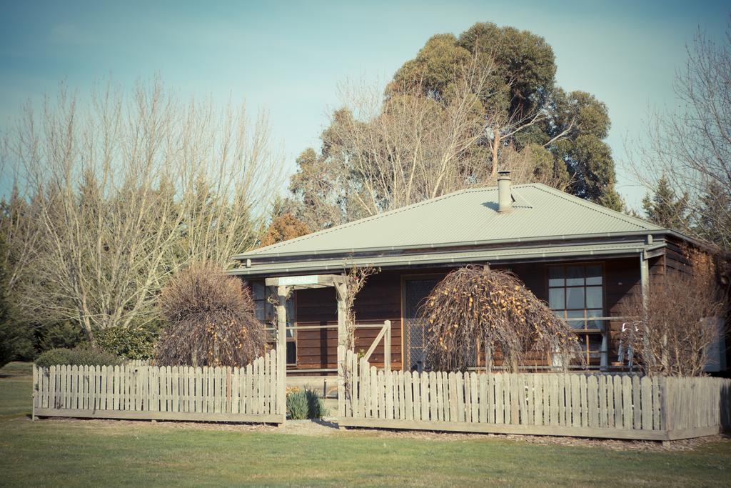 Sanctuary Park Cottages Хийлсвил Екстериор снимка